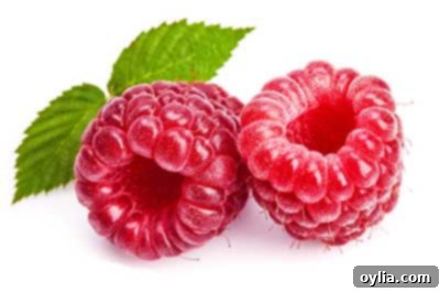 Fresh, juicy raspberries, a low-sugar fruit