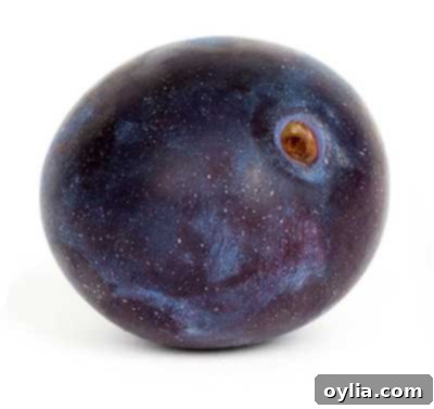 Fresh, juicy plums, a stone fruit rich in antioxidants