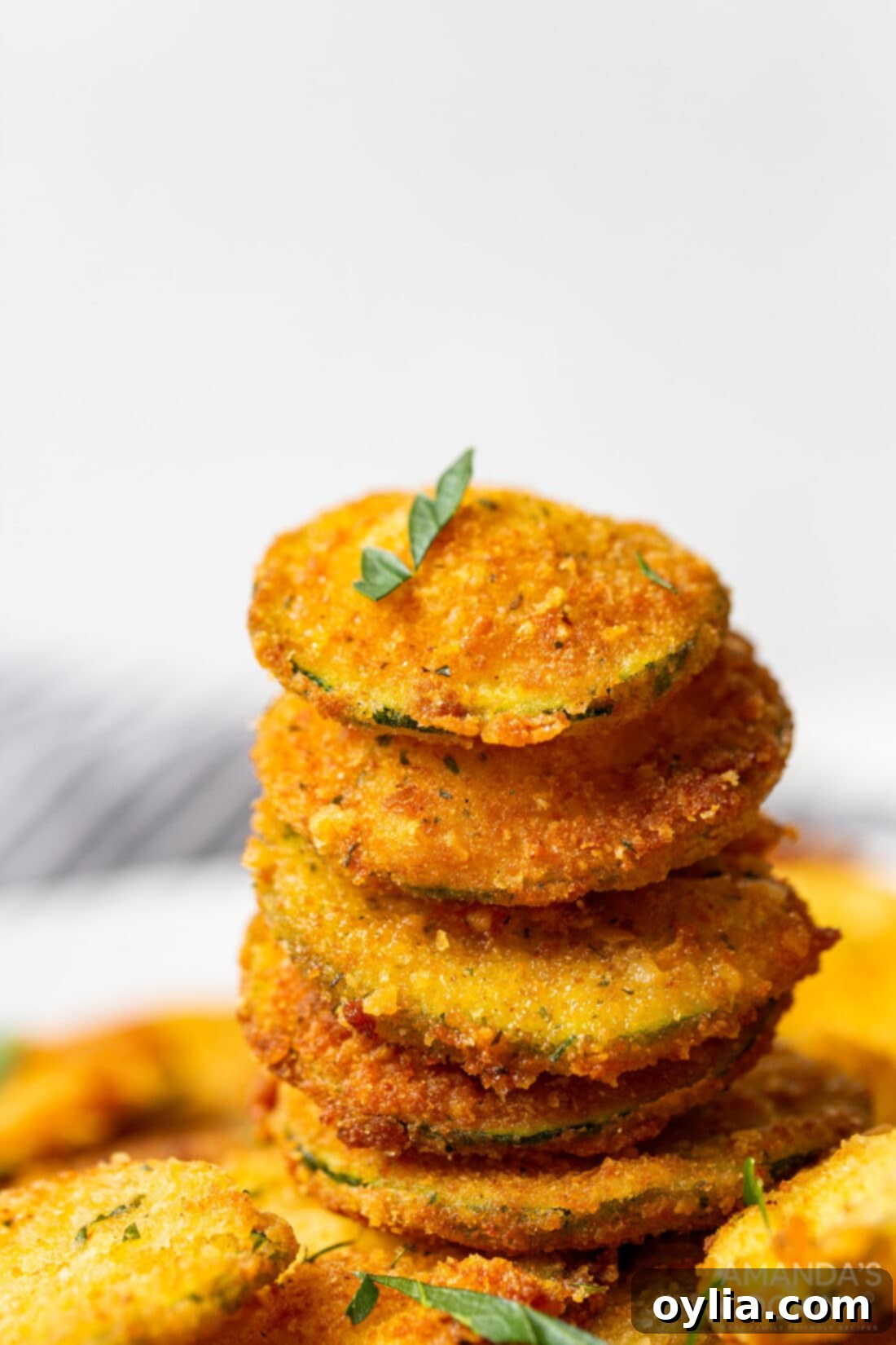 stack of Fried Zucchini