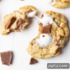 Close-up of a s'mores cookie pulled apart, showing the stretched, melted marshmallow and chocolate