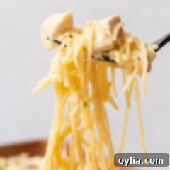 Chicken Spaghetti on a fork