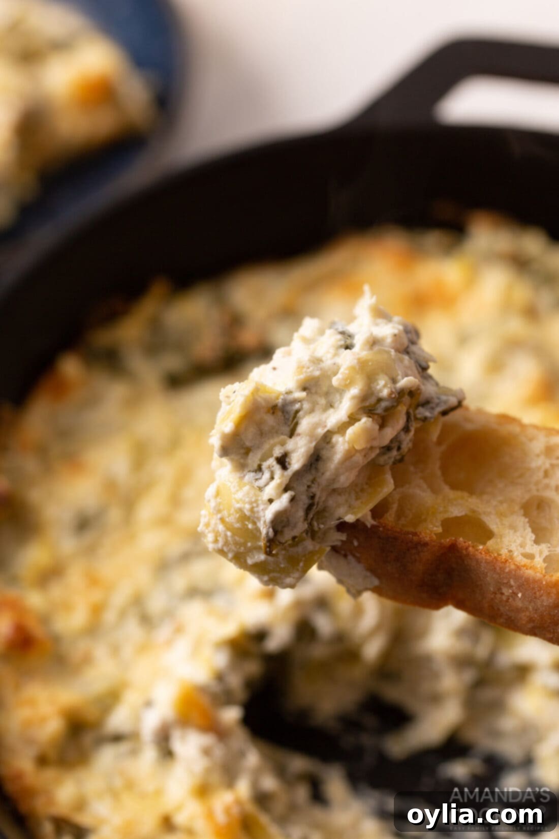Spinach Artichoke Dip on a piece of bread