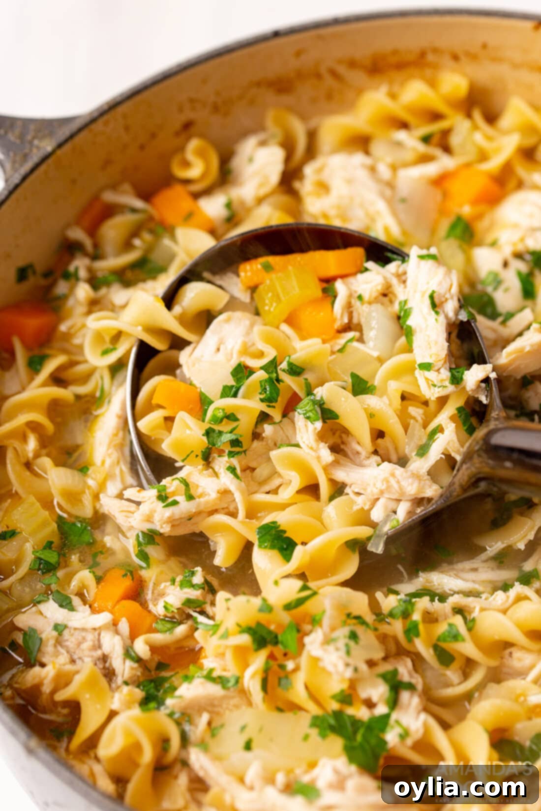 Soul-Soothing Chicken Noodle Soup 2 pot of comforting homemade Chicken Noodle Soup, brimming with noodles and vegetables