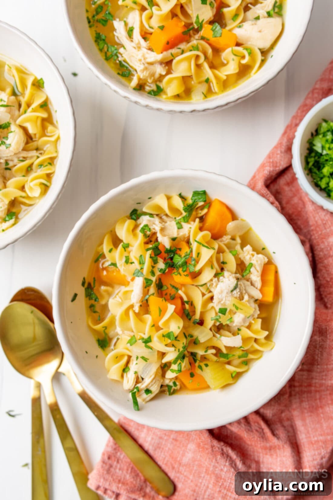 Soul-Soothing Chicken Noodle Soup 3 bowl of homemade Chicken Noodle Soup, ready to be enjoyed