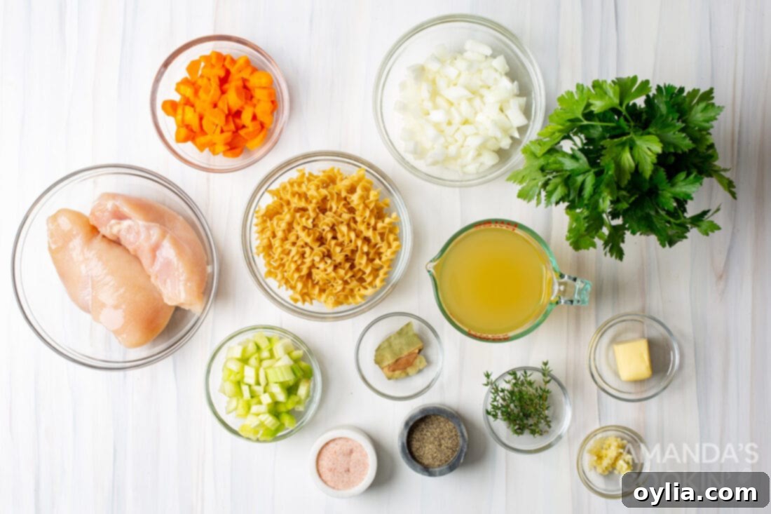 Soul-Soothing Chicken Noodle Soup 4 chicken noodle soup ingredients laid out on a kitchen counter