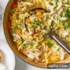 Soul-Soothing Chicken Noodle Soup 9 pot of Chicken Noodle Soup