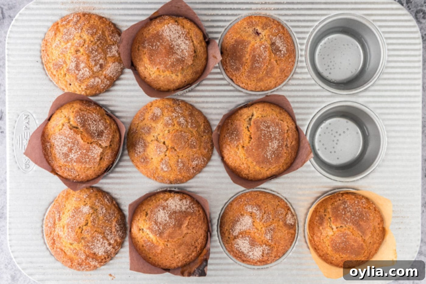 Freshly baked plum muffins with golden cinnamon sugar crusts in a muffin pan, just out of the oven.