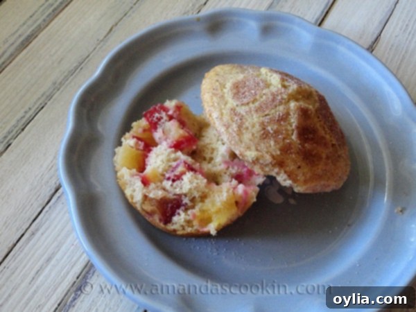 Original photo of Sugar Crusted Plum Muffins from the initial post date.
