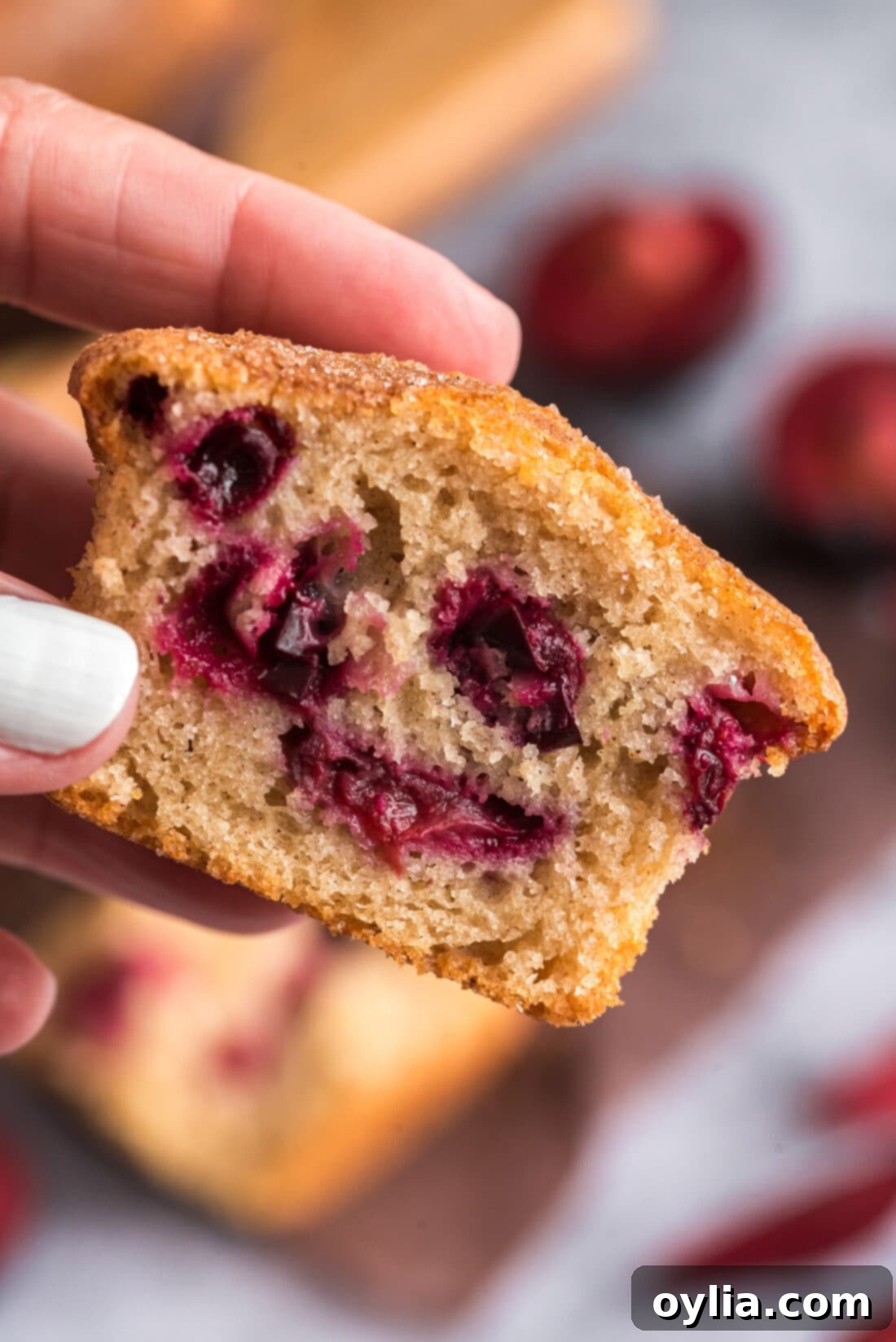 Hand holding a sugar crusted plum muffin cut in half, revealing the soft interior and plum pieces.