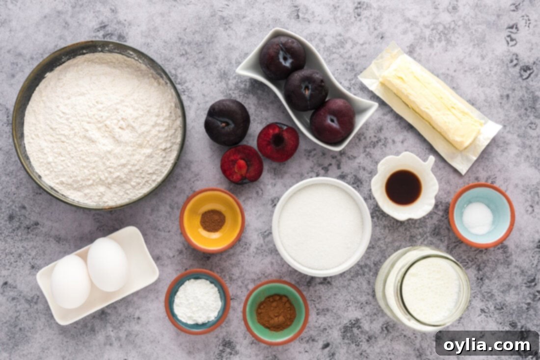 Array of ingredients for Sugar Crusted Plum Muffins laid out on a table, including flour, sugar, plums, eggs, butter, and spices.