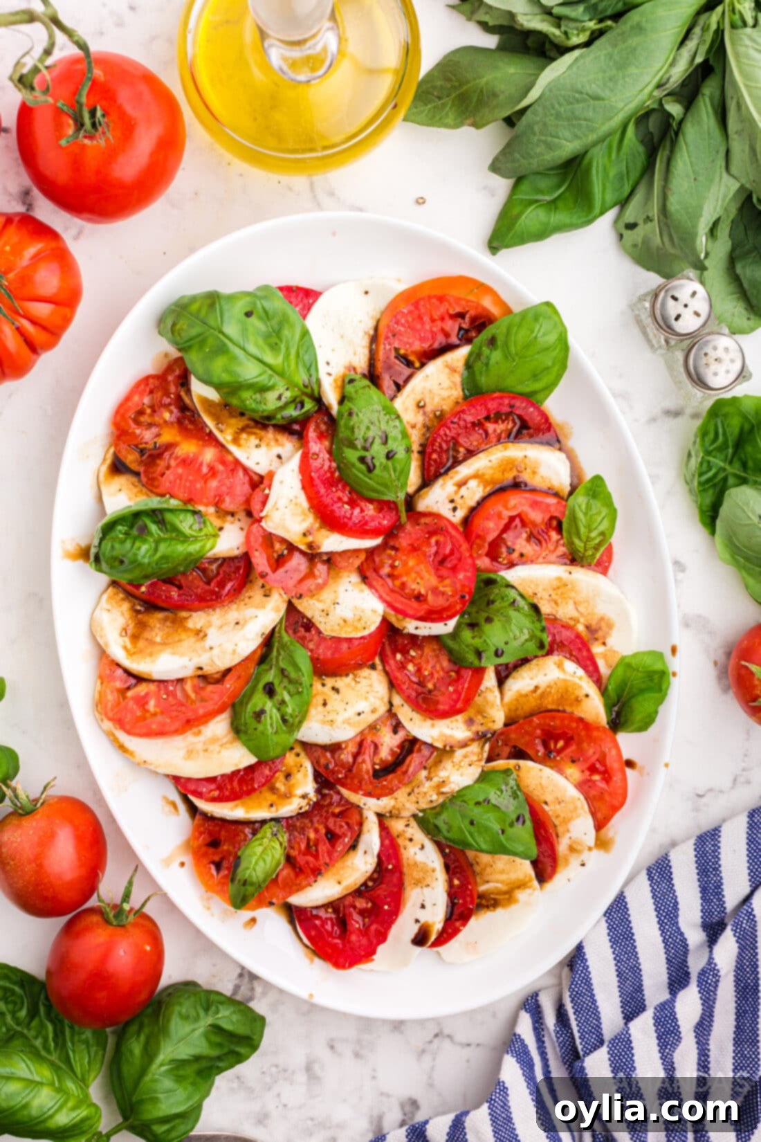  Caprese Salad on a plate