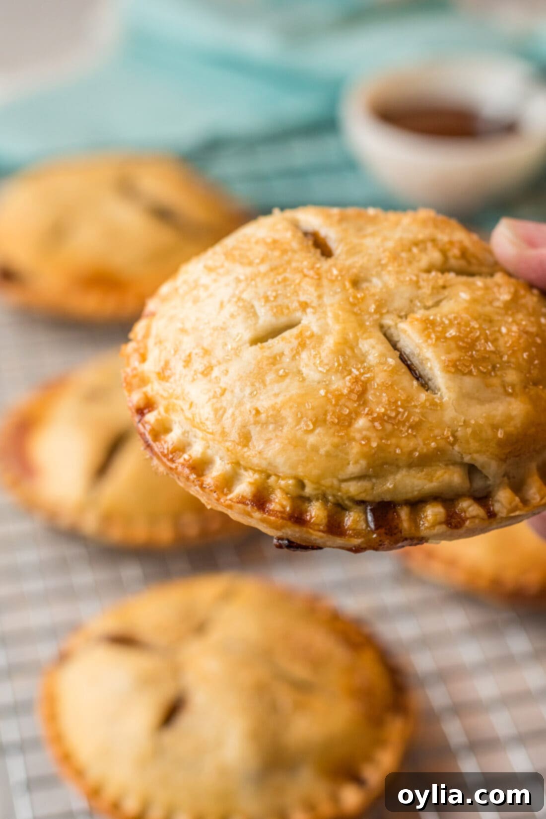 Homemade Apple Hand Pies 12 Hand holding an Apple Hand Pie