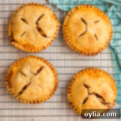 Homemade Apple Hand Pies 13 Four Apple Hand Pies on a wire rack