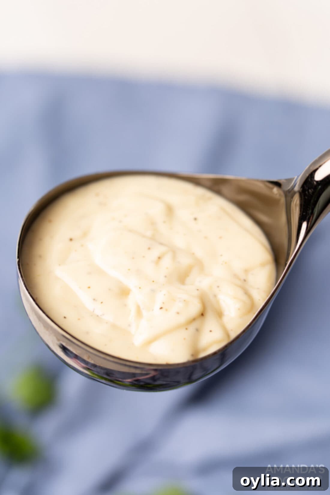 ladle of Homemade Cream of Chicken Soup