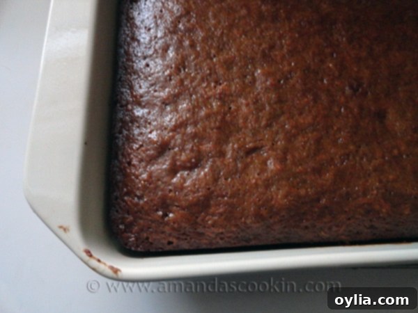 Low Fat Carrot Cake
