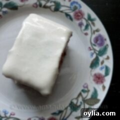 An overhead photo of a square of low fat carrot cake on a decorative plate.