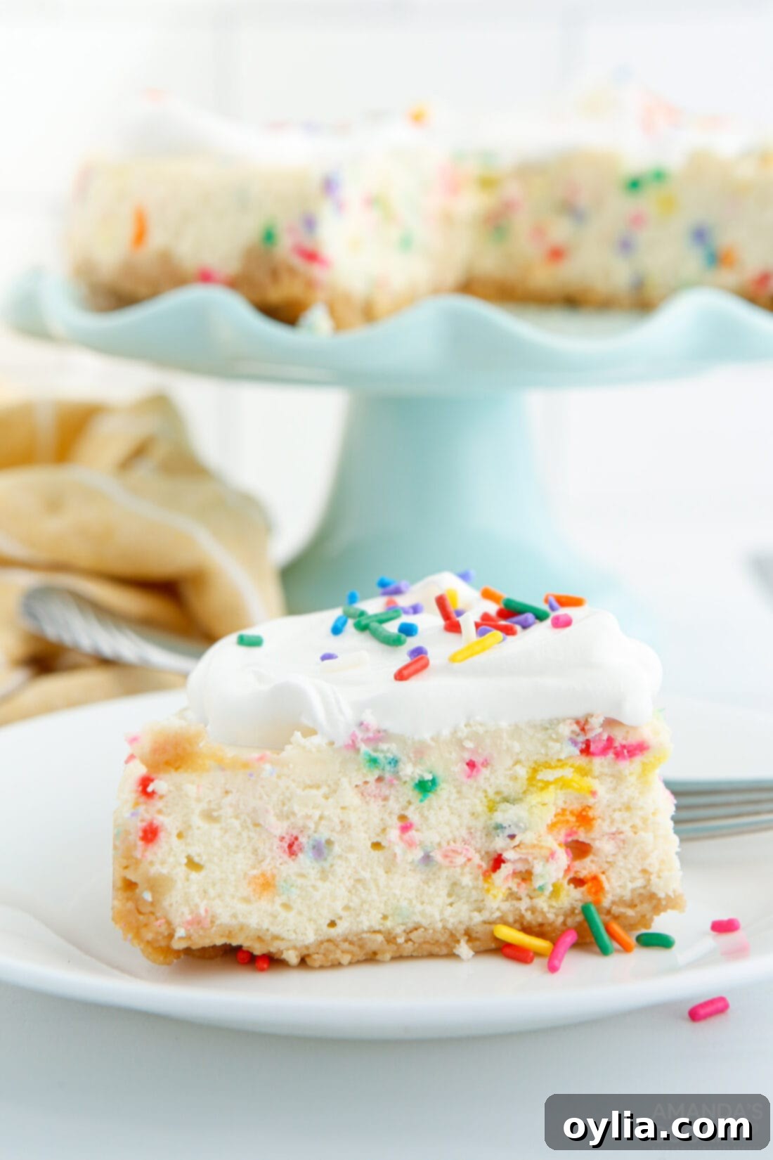 slice of Instant Pot Funfetti Cheesecake