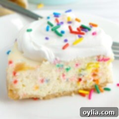 slice of Funfetti Cheesecake
