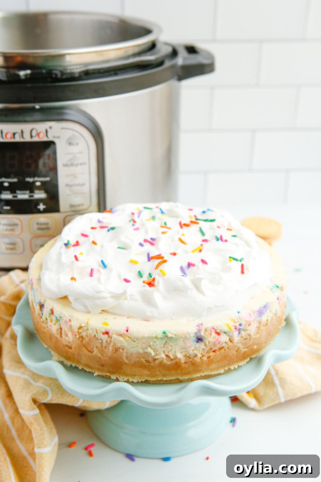 Instant Pot Funfetti Cheesecake
