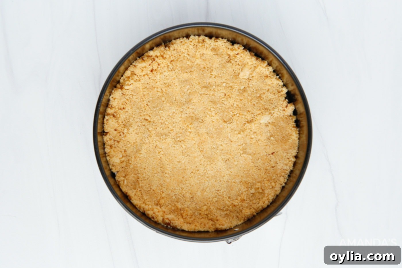 cheesecake crust in a springform pan
