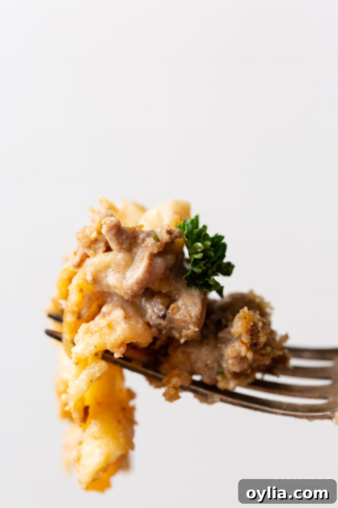 fork of Beef Stroganoff Casserole