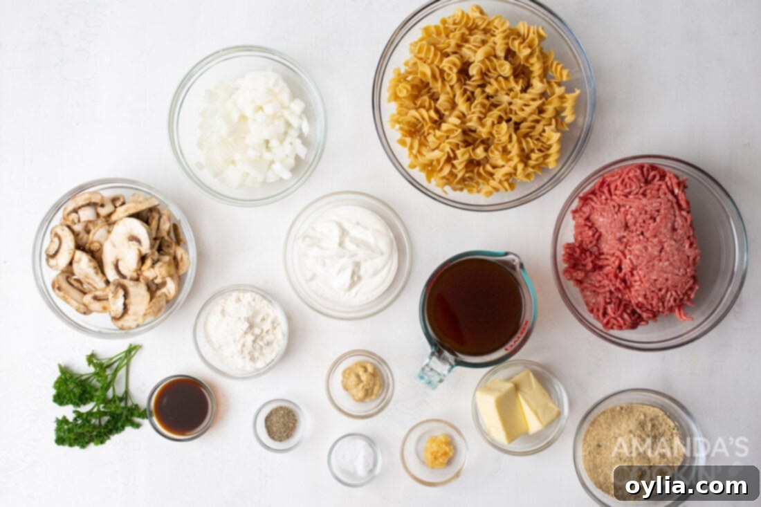 ingredients for Beef Stroganoff Casserole