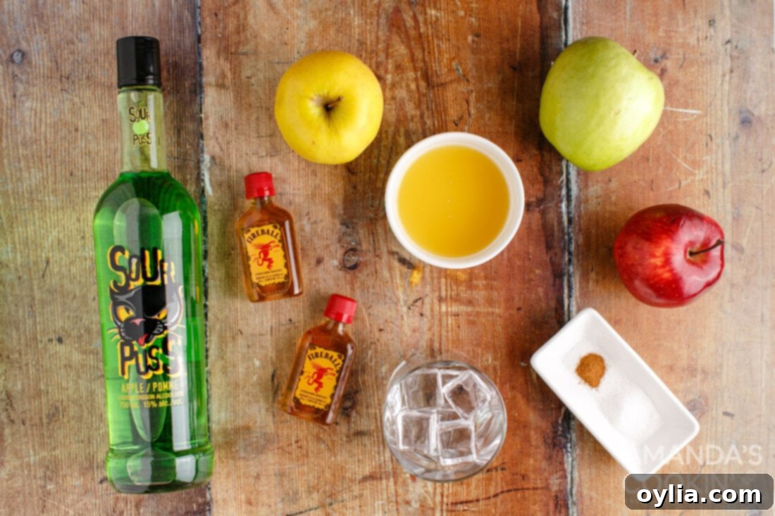 ingredients for making a Cinnamon Applesauce Cocktail