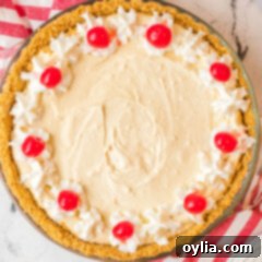 Frothy Root Beer Float Delight 12 overhead view of Root Beer Float Pie