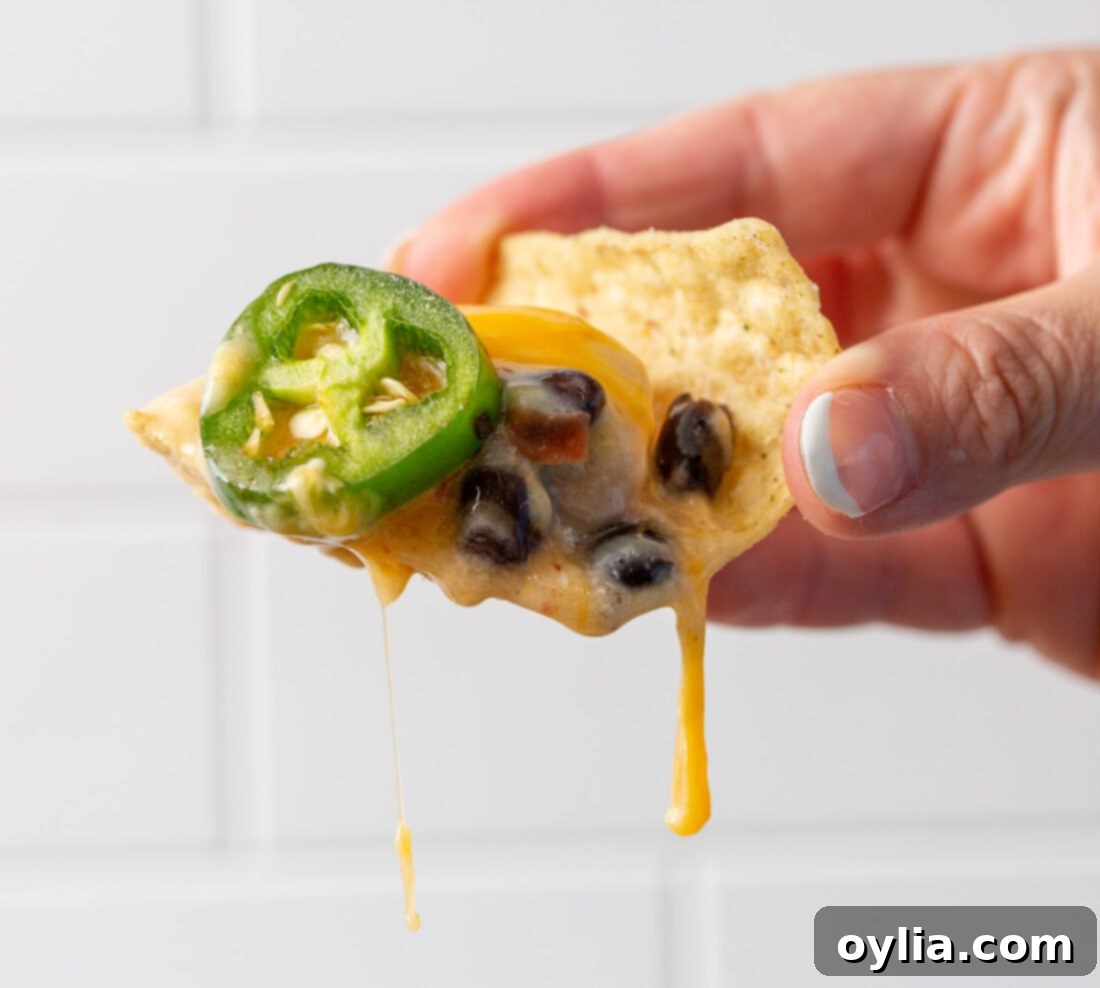 tortilla chip with a scoop of Crockpot Mexican Chicken and melted cheese, garnished with cilantro