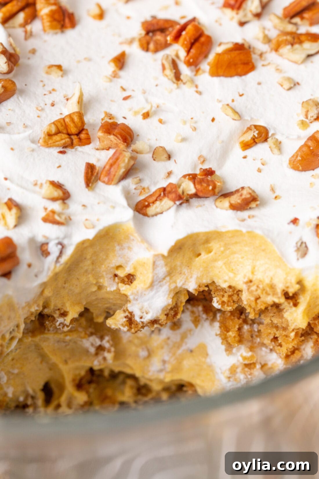 Close-up of the beautiful layers in a pumpkin trifle, showing gingerbread cake, pumpkin cheesecake, and whipped cream.