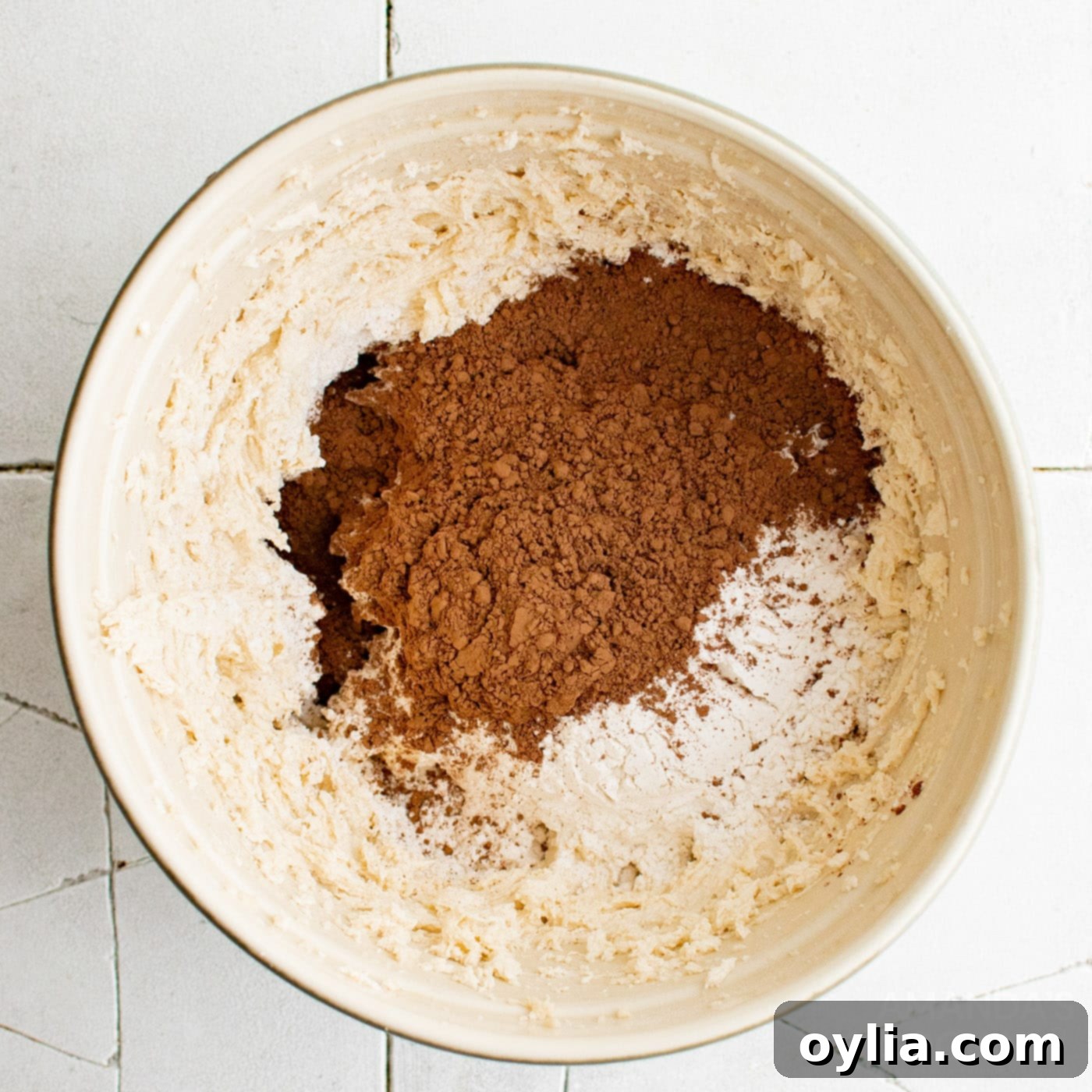 cocoa powder in a bowl of cookie dough