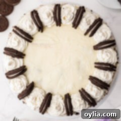 Oreo Cheesecake