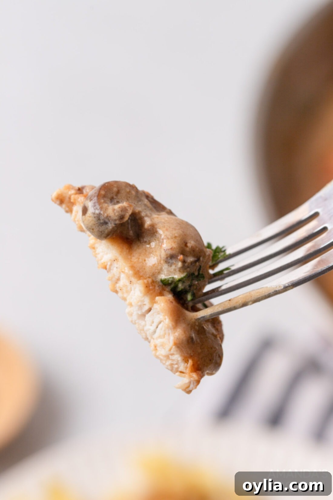 fork of Chicken Stroganoff
