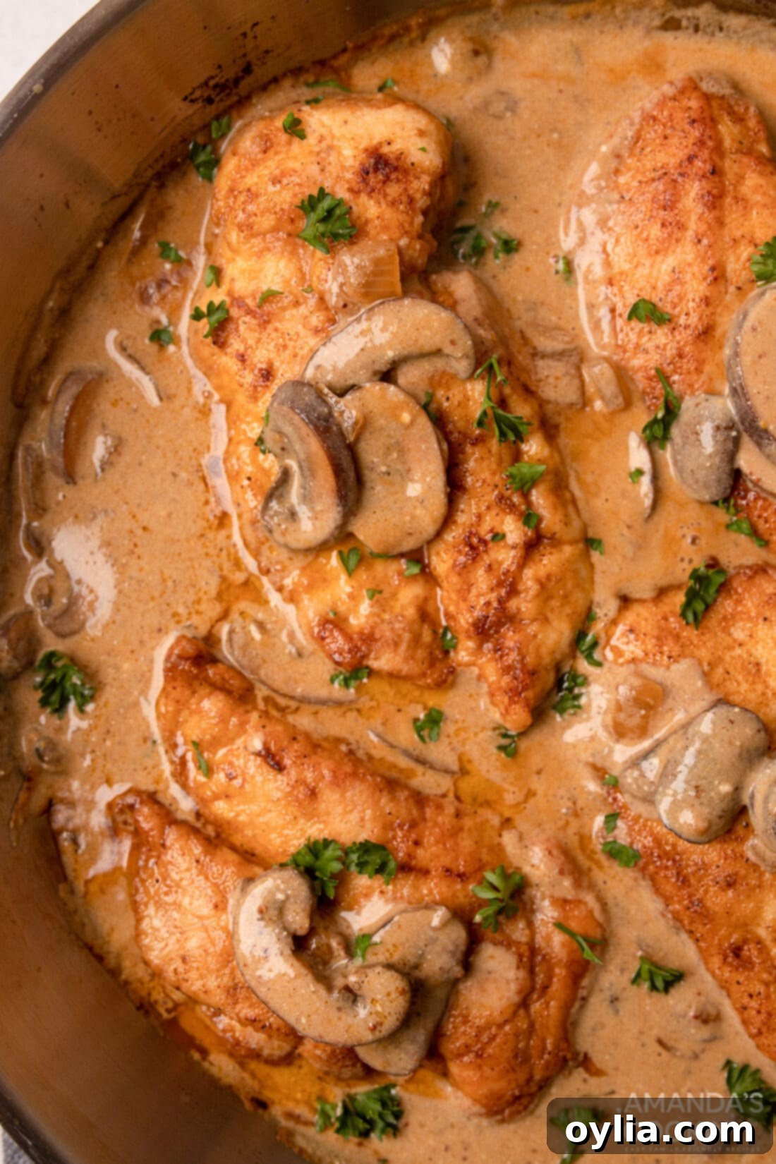 chicken in a skillet with mushrooms