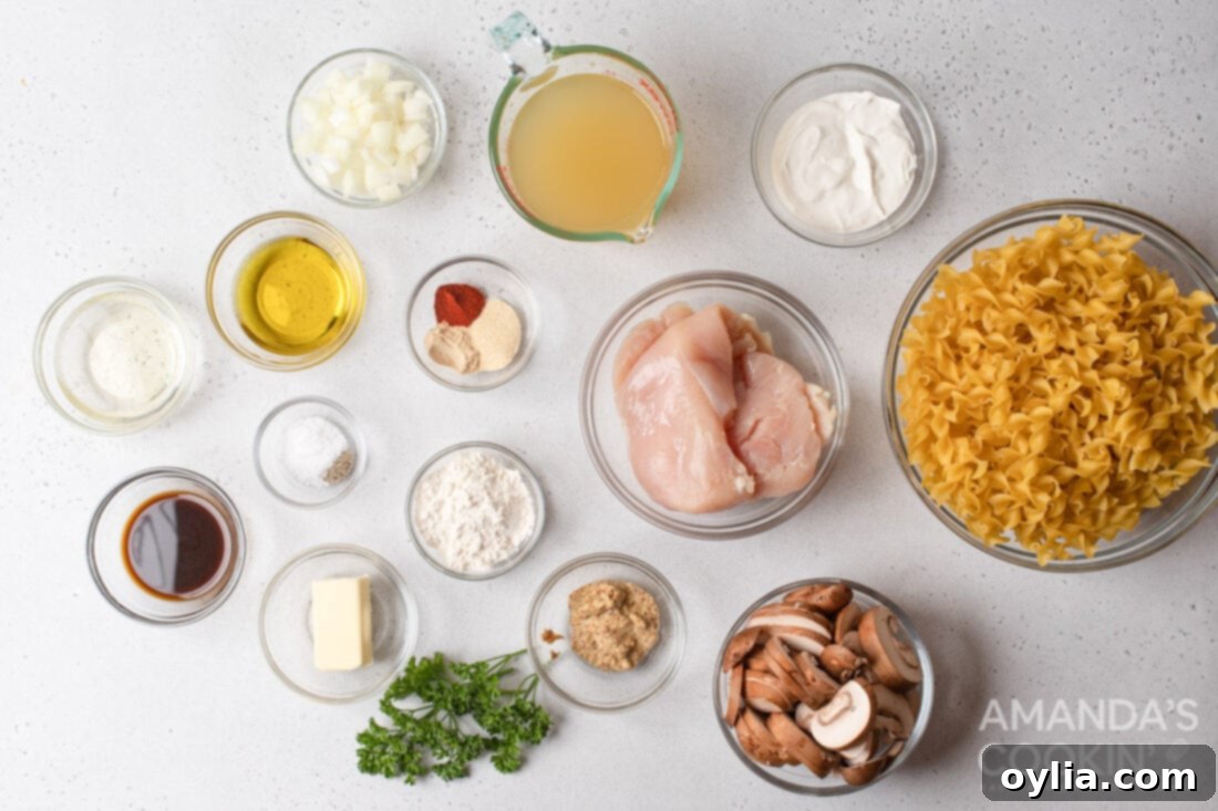 ingredients for Chicken Stroganoff