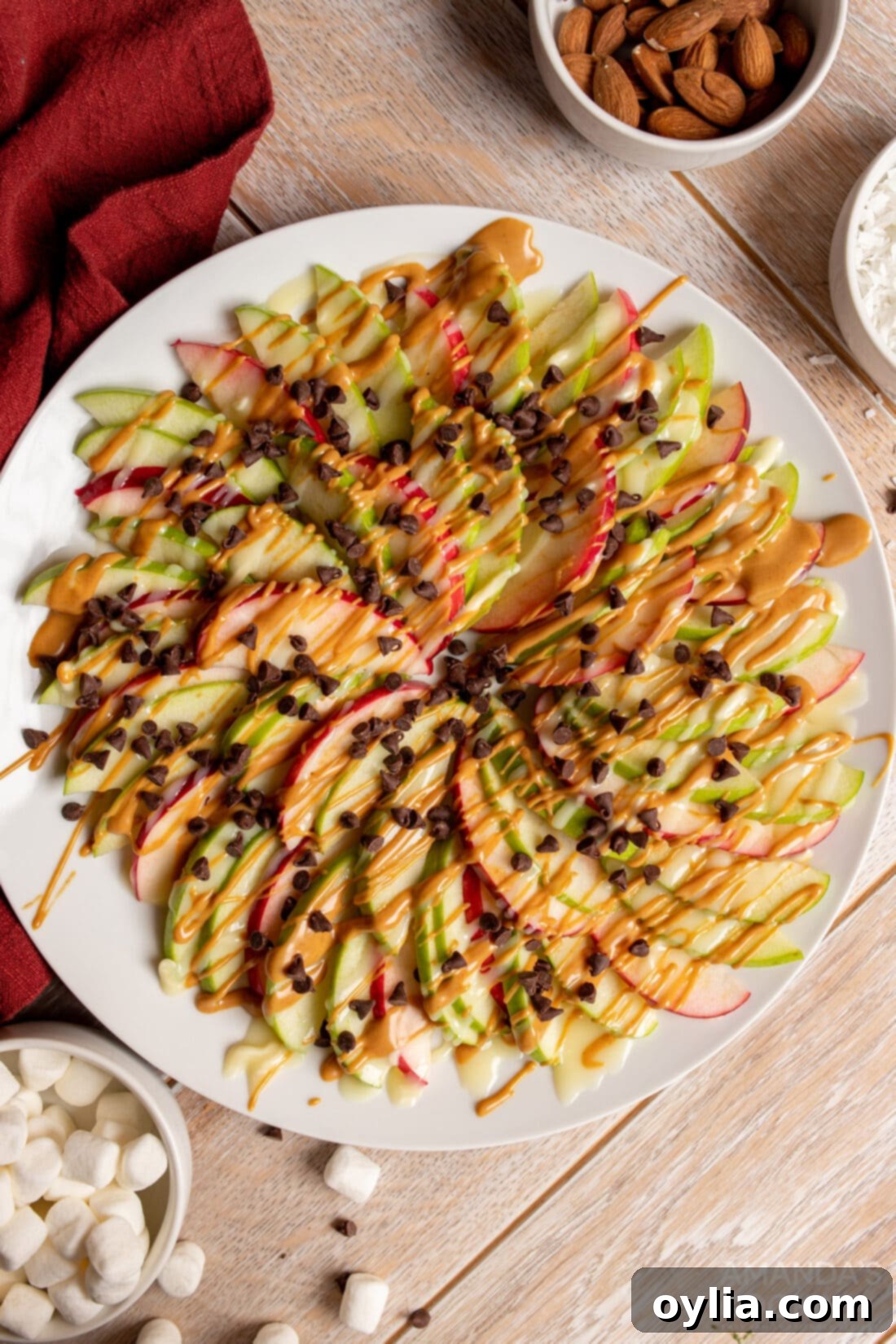 Vibrantly arranged plate of Apple Nachos drizzled with peanut butter and chocolate chips