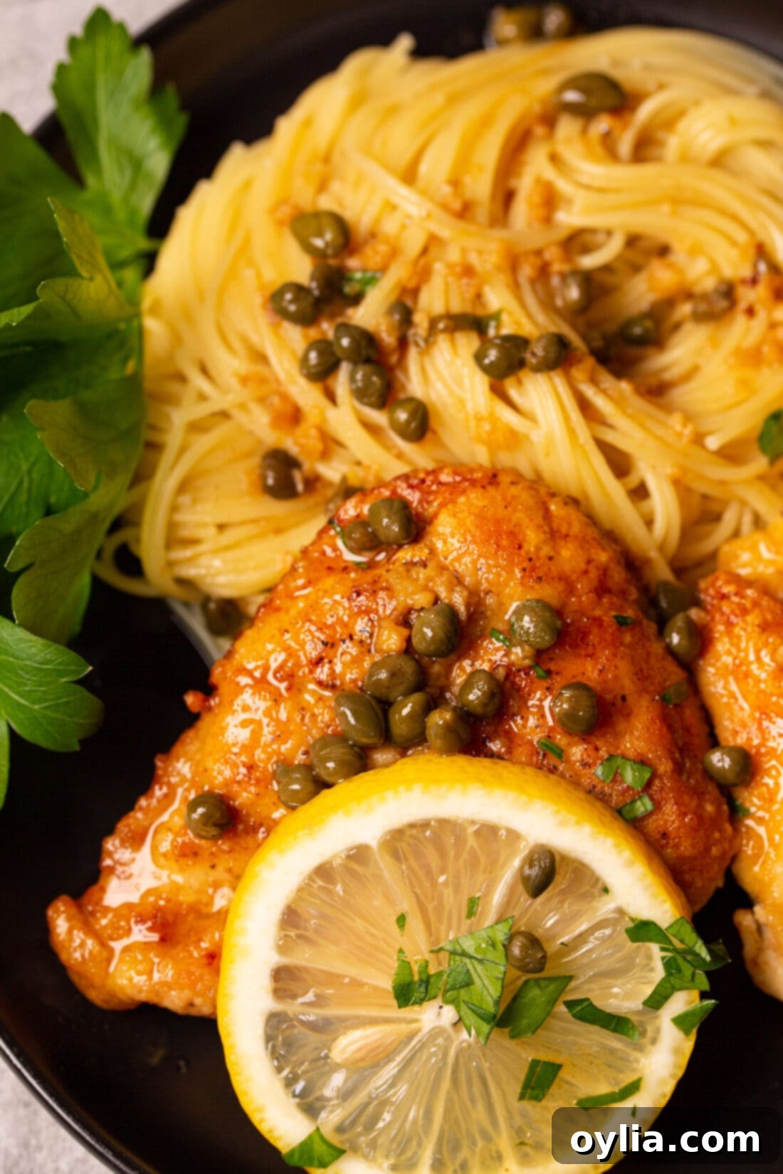 close up of Chicken Piccata with spaghetti, showcasing the rich lemon-caper sauce