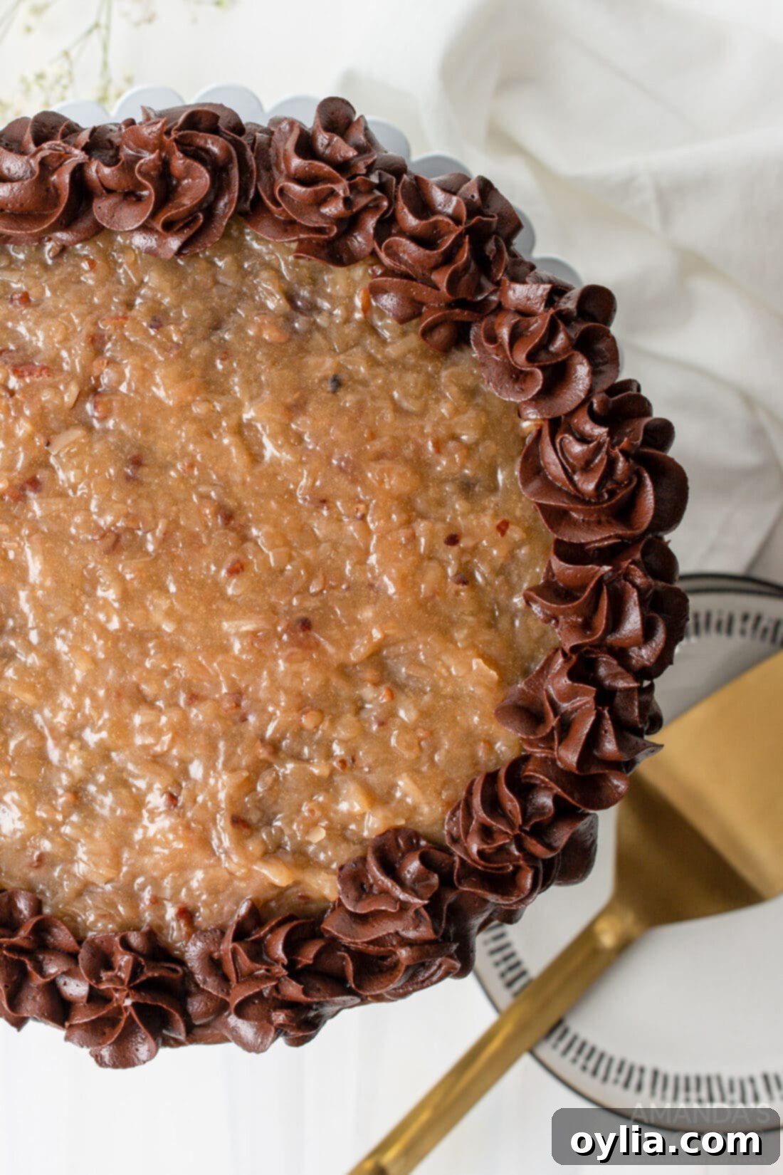 An inviting overhead view of a beautifully decorated German Chocolate Cake, highlighting its concentric layers of chocolate cake and filling, with a piped chocolate border.