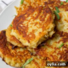 Potato Fritters 9 Potato Pancakes