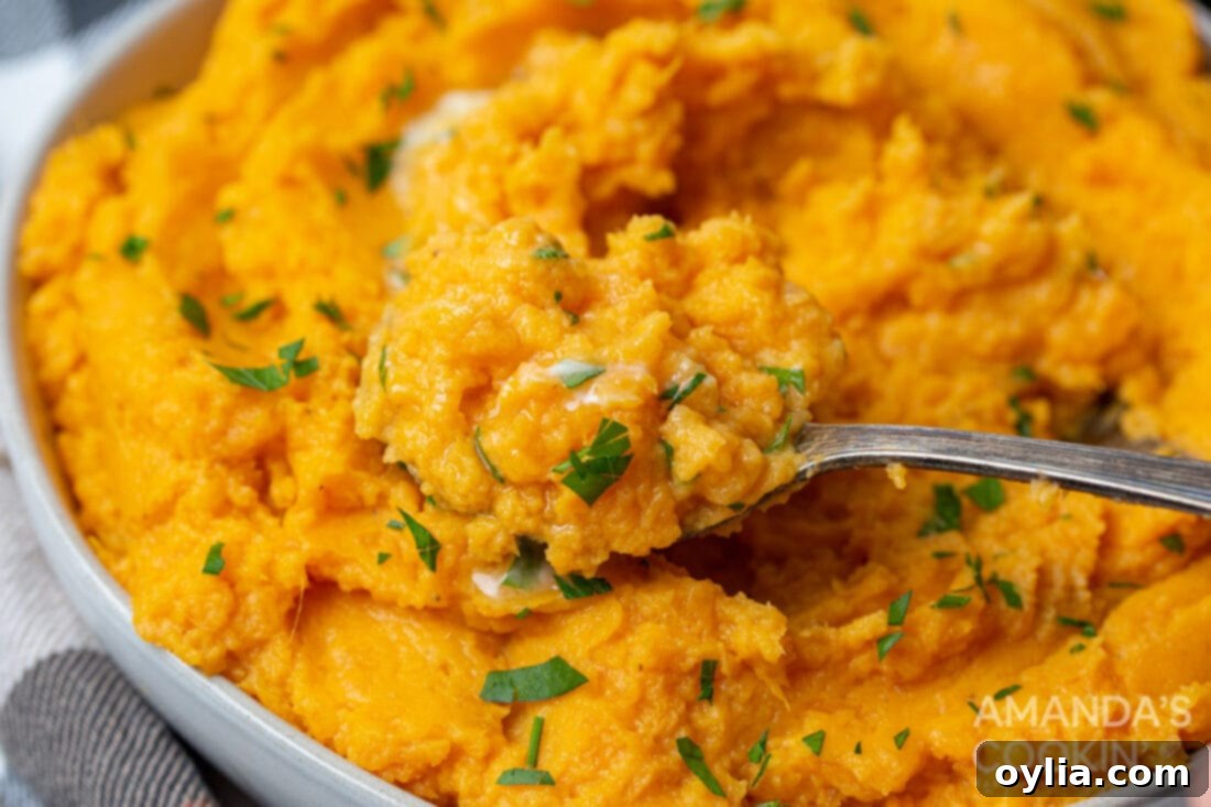spoon of Mashed Sweet Potatoes