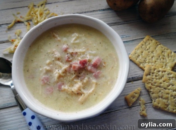 A steaming bowl of Cheesy Chicken & Ham Chowder, garnished with fresh herbs, perfect for a cold day.