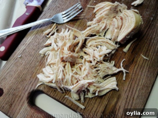 Perfectly shredded chicken, a key ingredient for a hearty chowder.