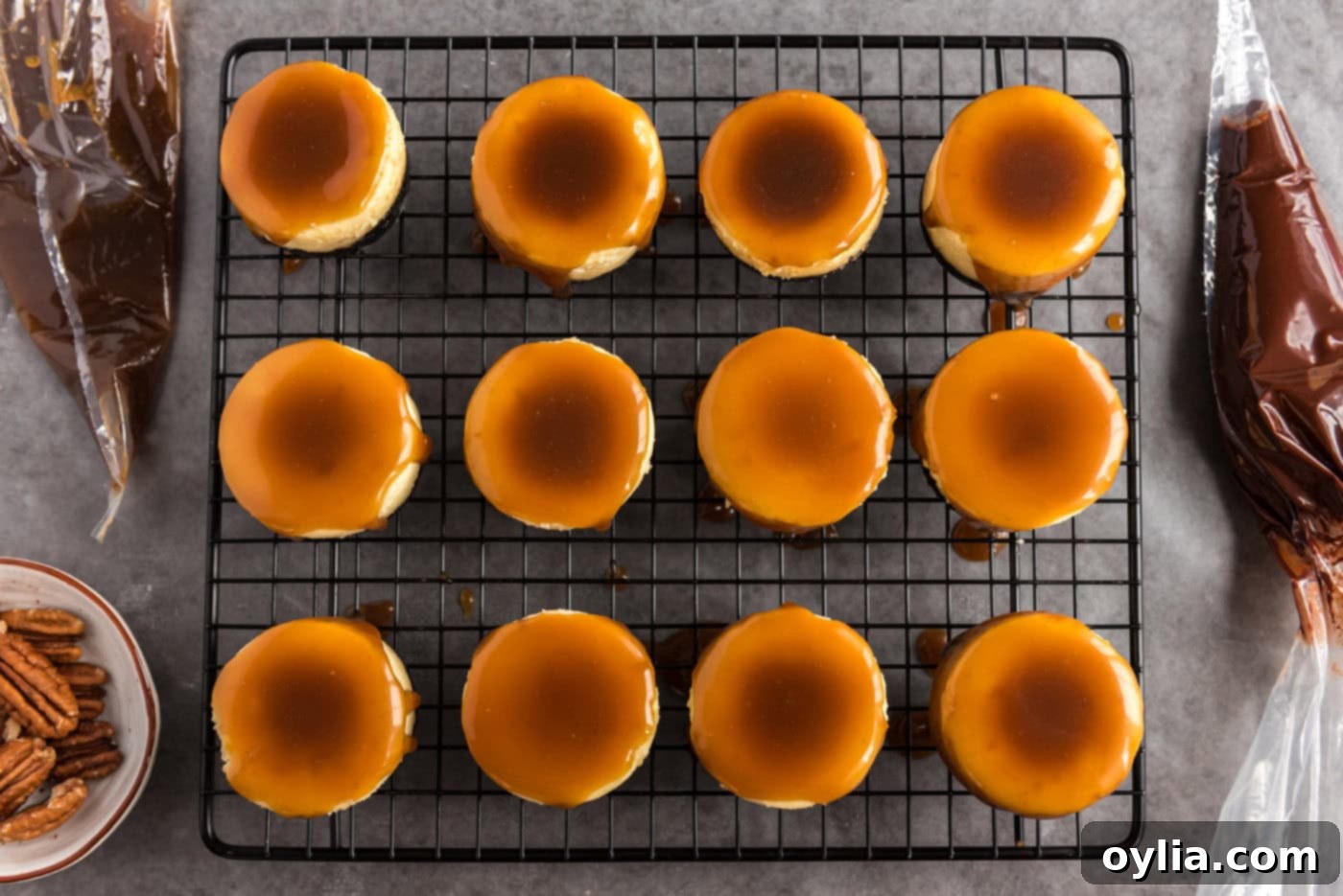 mini cheesecakes with caramel on top