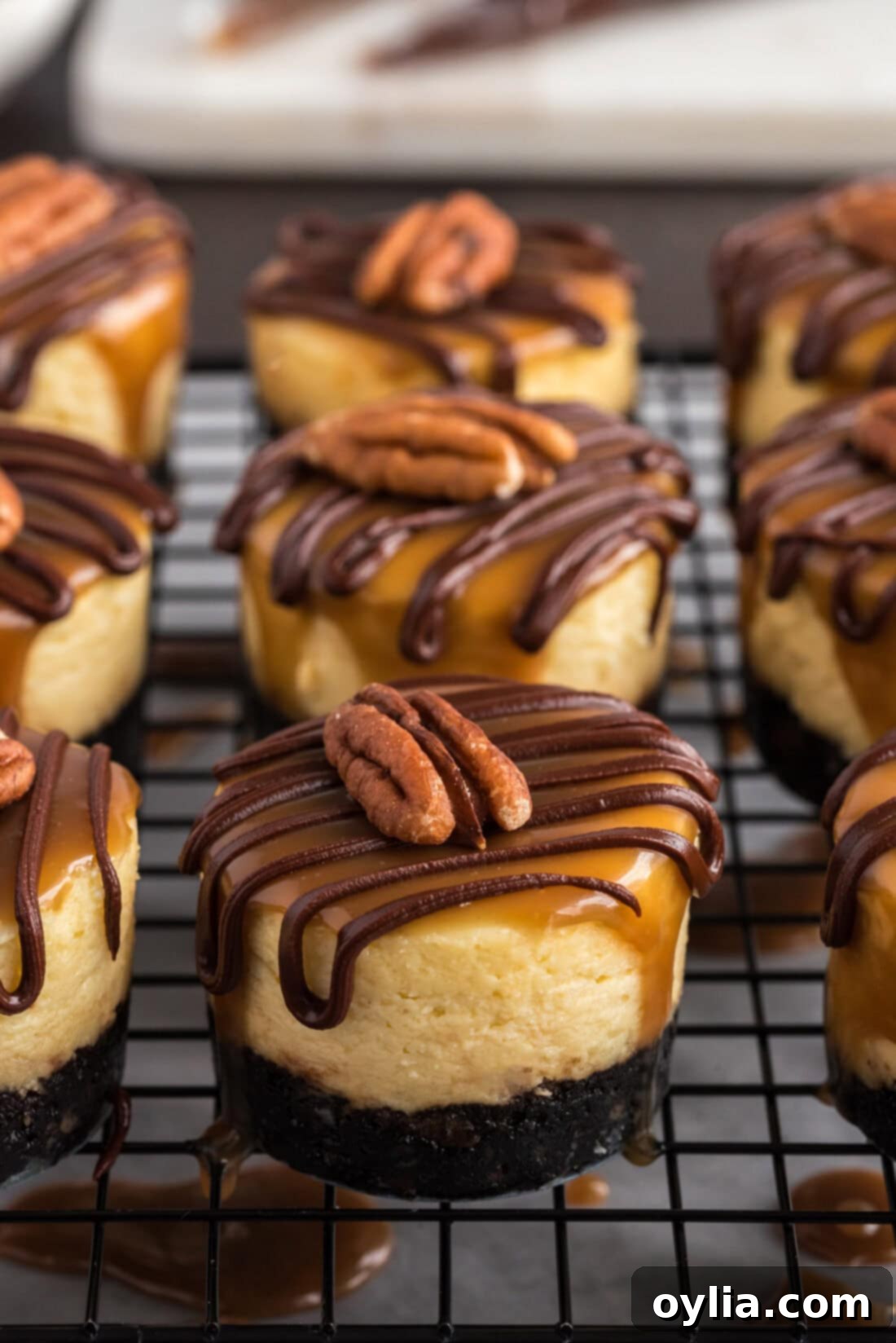 Mini Turtle Cheesecakes on a wire rack
