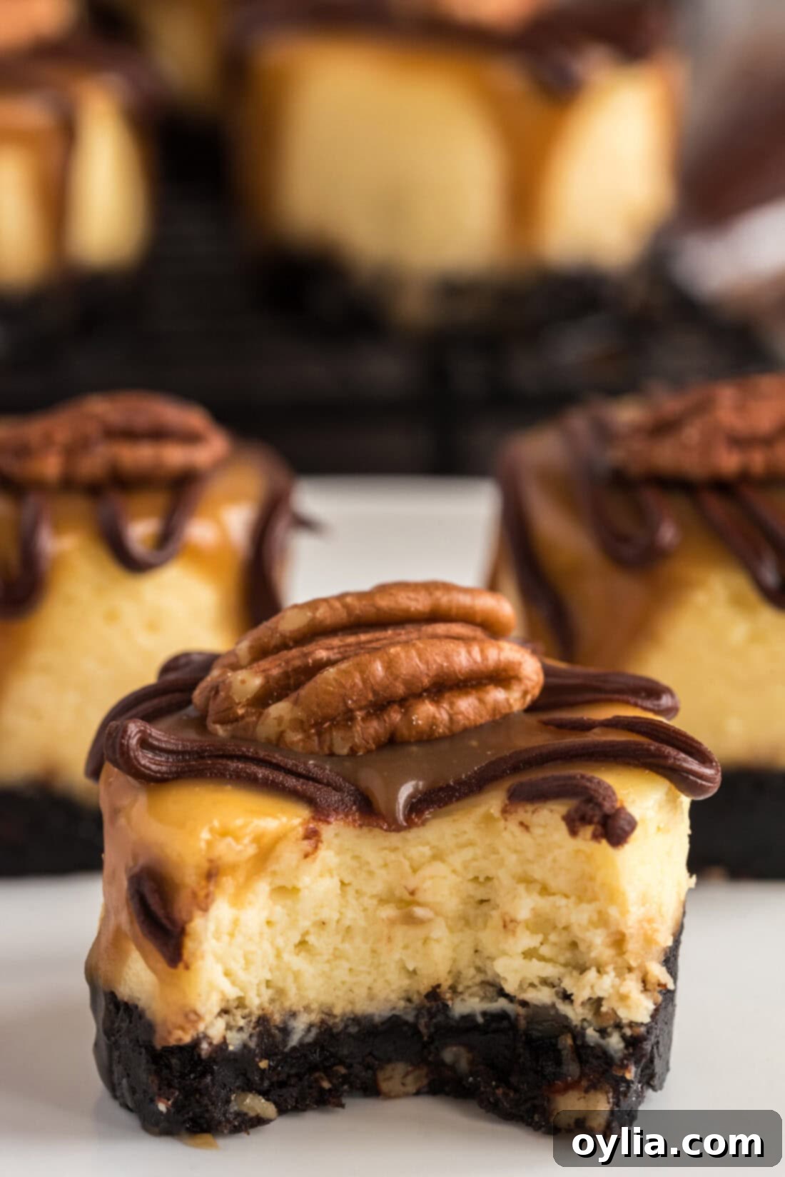 Close up photo of a Mini Turtle Cheesecake with a bite taken out