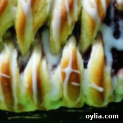 Blackberry Twist Danish 2 Braided Blackberry Breakfast Danish