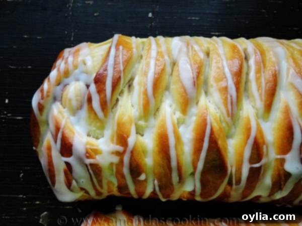 A close up overhead photo of a braided blackberry breakfast Danish.