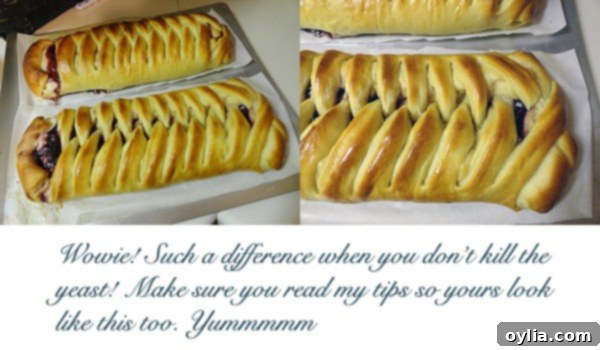 Braided Blackberry Breakfast Danish
