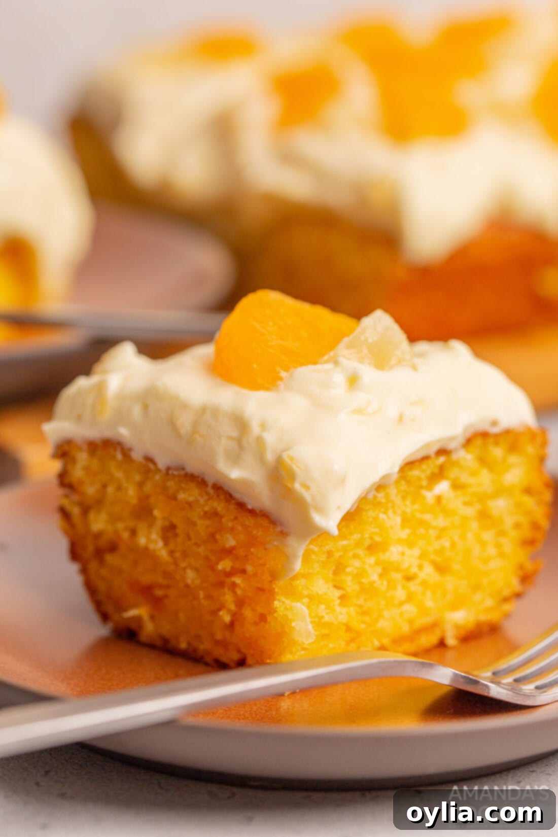 Golden Orange Pineapple Delight 2 piece of Orange Pineapple Cake
