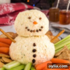 Winter Wonderland Cheese Ball 14 Snowman Cheeseball